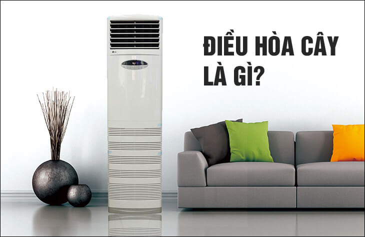 Điều hòa cây là gì? Khi nào nên mua điều hòa cây?