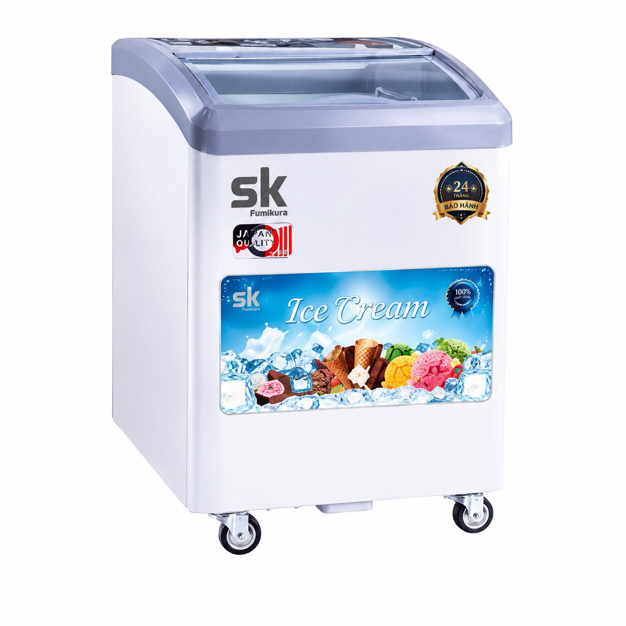 SKFS-165C